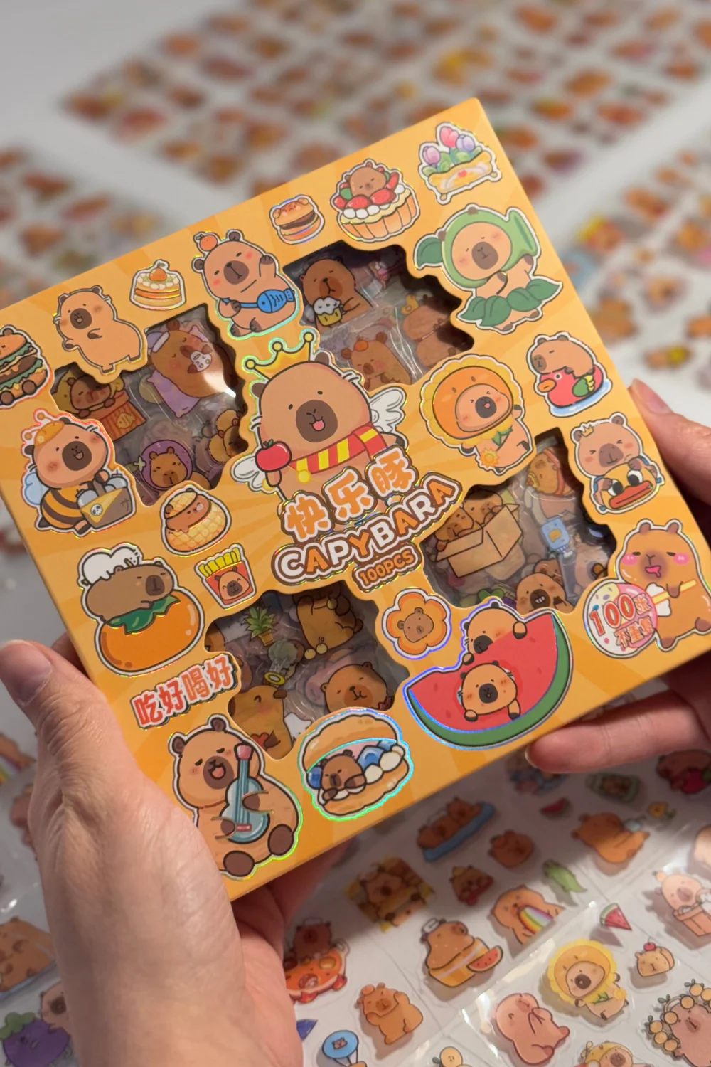Capybara Temalı Sevimli Şeffaf Kutu Sticker Seti